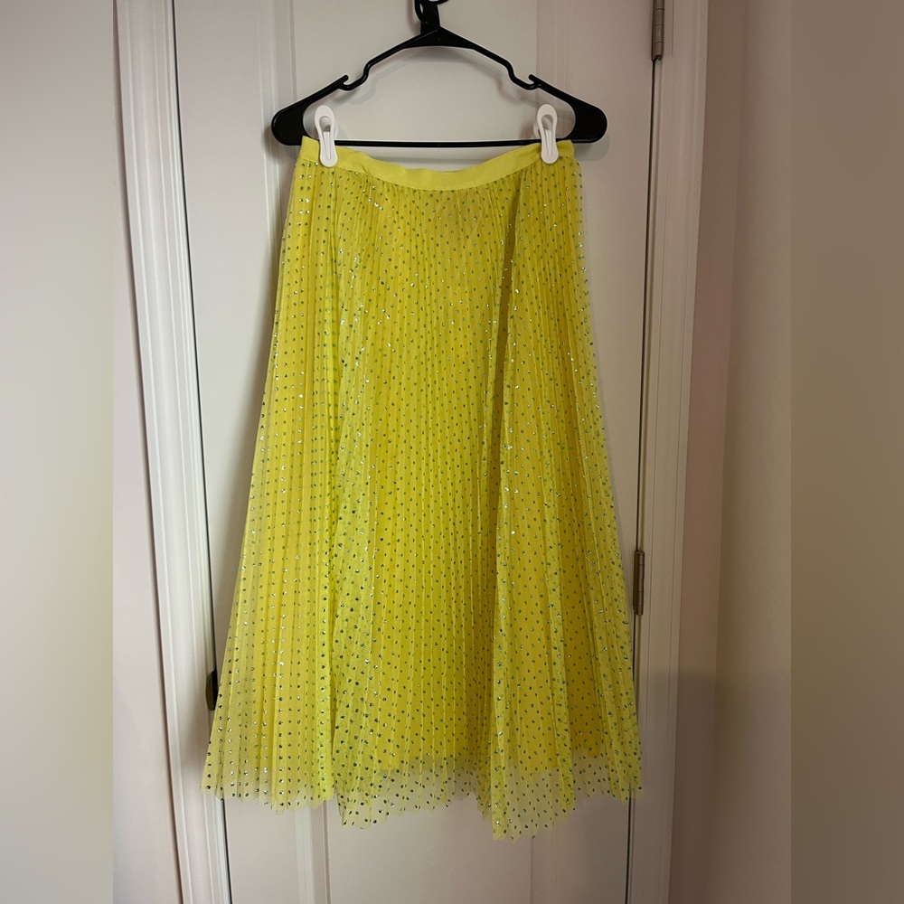 NWT Jcrew skirt, size 2, cintron with blue glitter dots